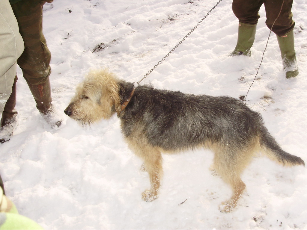 Gostovanje kod pobratima u Foči